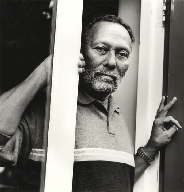 Stuart Hall'un Kaybının Beşinci Yılında Bir Anma